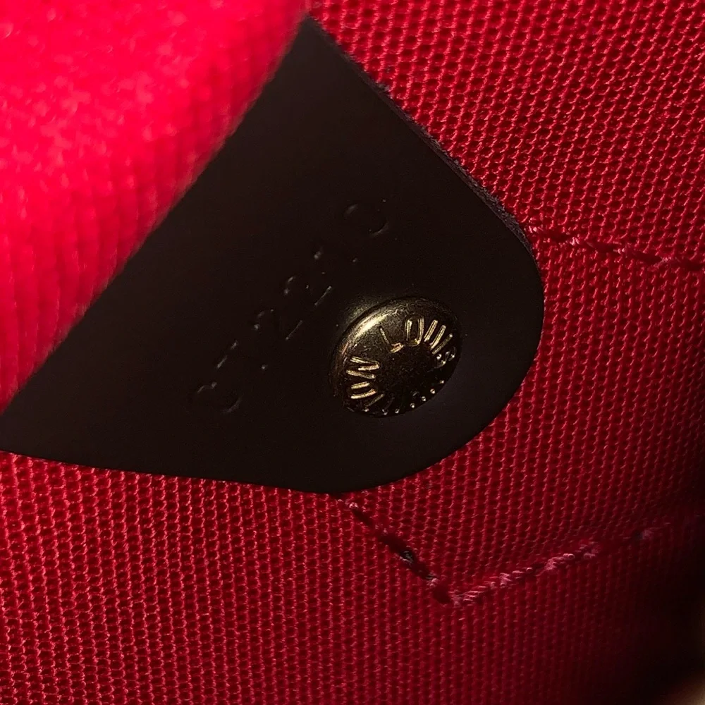 Louis Vuitton classic louis
